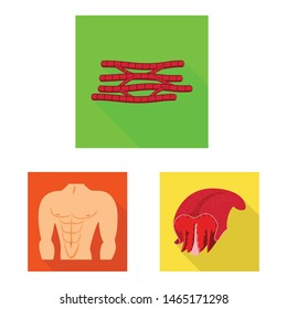 Isolated object of muscle and cells icon. Set of muscle and anatomy stock vector illustration.