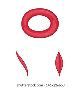 Isolated object of muscle and cells icon. Collection of muscle and anatomy stock vector illustration.