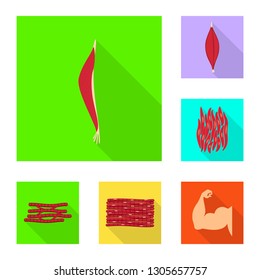 Isolated object of muscle and cells logo. Set of muscle and anatomy stock vector illustration.