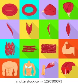 Isolated object of muscle and cells sign. Collection of muscle and anatomy stock symbol for web.