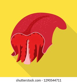 Isolated object of muscle and cells symbol. Collection of muscle and anatomy stock vector illustration.