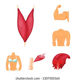 Isolated object of muscle and cells symbol. Set of muscle and anatomy stock vector illustration.