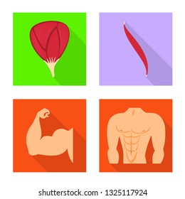 Isolated object of muscle and cells symbol. Collection of muscle and anatomy vector icon for stock.