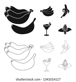 Isolated object of natural and vegetarian icon. Set of natural and eating stock vector illustration.