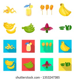 Isolated object of natural and vegetarian icon. Set of natural and eating vector icon for stock.