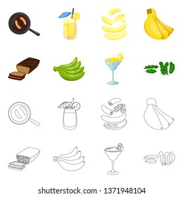 Isolated object of natural and vegetarian icon. Collection of natural and eating stock symbol for web.