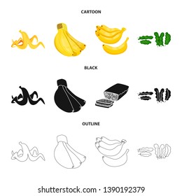 Isolated object of natural and vegetarian icon. Collection of natural and eating stock vector illustration.