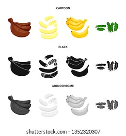 Isolated object of natural and vegetarian logo. Collection of natural and eating stock vector illustration.
