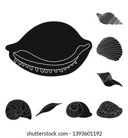 Isolated object of nature  and ocean icon. Set of nature  and mollusk vector icon for stock.