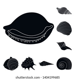 Isolated object of nature  and ocean sign. Set of nature  and mollusk stock symbol for web.