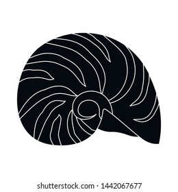 Isolated object of nature and ocean sign. Set of nature and mollusk vector icon for stock.