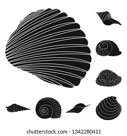 Isolated object of nature  and ocean symbol. Set of nature  and mollusk vector icon for stock.