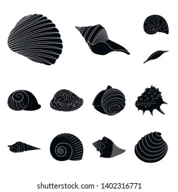 Isolated object of nature  and ocean symbol. Collection of nature  and mollusk stock symbol for web.