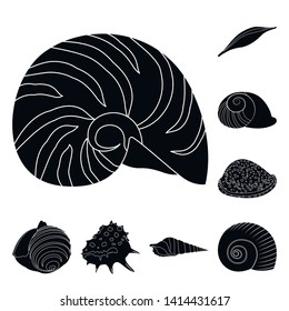 Isolated object of nature  and ocean symbol. Set of nature  and mollusk stock symbol for web.