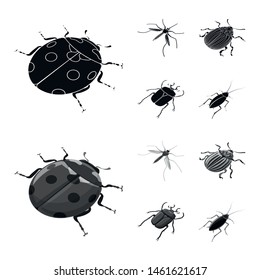 Isolated object of nature and wildlife icon. Set of nature and wing stock vector illustration.