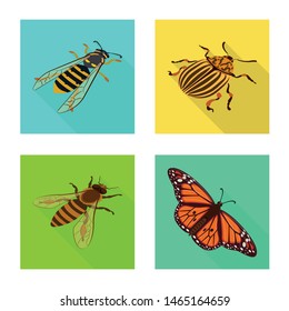 Isolated object of nature and wildlife logo. Collection of nature and wing vector icon for stock.
