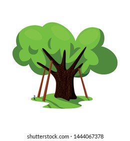 Isolated object of oak and tree sign. Collection of oak and forest vector icon for stock.