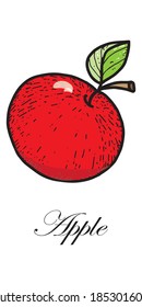 ISOLATED object on a white background. Red big apple. Vector. Cartoon. An apple with a twig and a leaf. Suitable for decorating recipes, menus and posters.