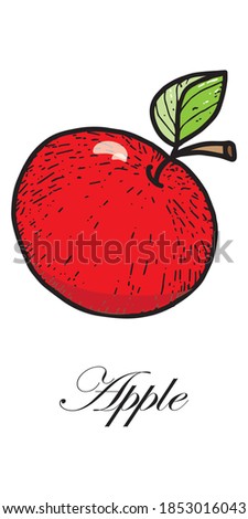 ISOLATED object on a white background. Red big apple. Vector. Cartoon. An apple with a twig and a leaf. Suitable for decorating recipes, menus and posters.