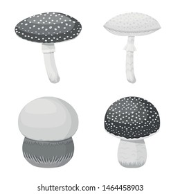 Isolated object of organic and nature logo. Set of organic and summer vector icon for stock.