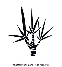 Isolated object of palm and coconut icon. Collection of palm and hawaii vector icon for stock.