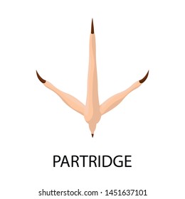 Isolated object of partridge and trail sign. Collection of partridge and quail vector icon for stock.