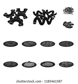 Isolated object of pasta and carbohydrate sign. Collection of pasta and macaroni stock symbol for web.