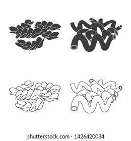 Isolated object of pasta and carbohydrate symbol. Collection of pasta and macaroni stock vector illustration.