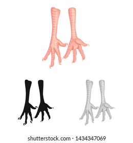 Isolated object of paws and chicken icon. Collection of paws and leg vector icon for stock.