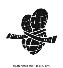 Isolated object of peanut and shell icon. Web element of peanut and pod vector icon for stock.