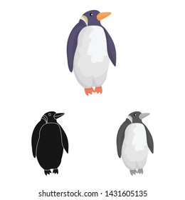 Isolated object of penguin and white symbol. Collection of penguin and wild vector icon for stock.