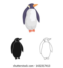 Isolated object of penguin and white symbol. Set of penguin and wild stock symbol for web.