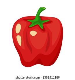 Isolated object of pepper and red  symbol. Set of pepper and vegetable stock vector illustration.