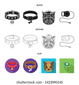 Isolated object of pet and accessories icon. Set of pet and shop vector icon for stock.