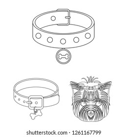 Isolated object of pet and accessories symbol. Collection of pet and shop vector icon for stock.