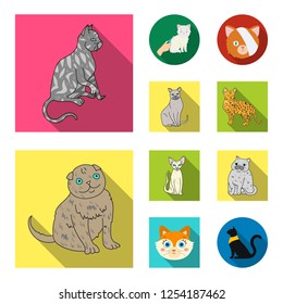 Isolated object of pet and sphynx icon. Collection of pet and fun vector icon for stock.