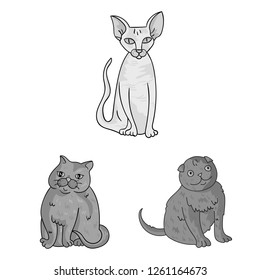 Isolated object of pet and sphynx icon. Set of pet and fun stock vector illustration.