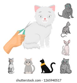 Isolated object of pet and sphynx icon. Collection of pet and fun stock vector illustration.