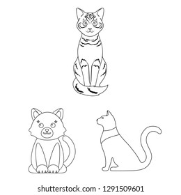 Isolated object of pet and sphynx icon. Collection of pet and fun stock symbol for web.