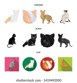 Isolated object of pet and sphynx icon. Collection of pet and fun stock symbol for web.