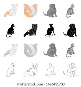 Isolated object of pet and sphynx icon. Collection of pet and fun stock symbol for web.