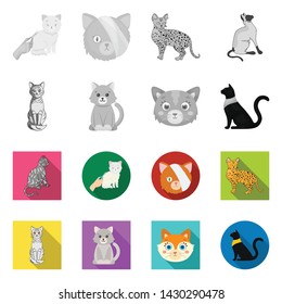 Isolated object of pet and sphynx icon. Collection of pet and fun stock symbol for web.