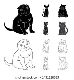 Isolated object of pet and sphynx icon. Set of pet and fun stock symbol for web.