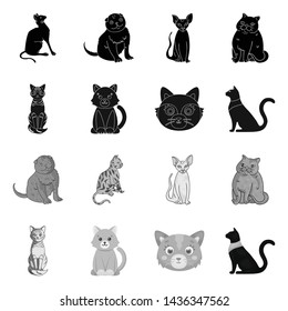 Isolated object of pet and sphynx icon. Collection of pet and fun stock vector illustration.