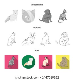 Isolated object of pet and sphynx logo. Collection of pet and fun vector icon for stock.