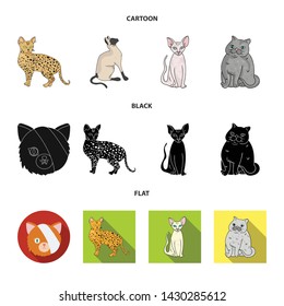 Isolated object of pet and sphynx sign. Set of pet and fun vector icon for stock.