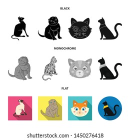 Isolated object of pet and sphynx sign. Collection of pet and fun stock vector illustration.