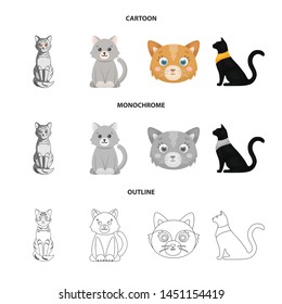 Isolated object of pet and sphynx symbol. Set of pet and fun vector icon for stock.