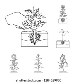 Isolated object of plant and bean logo. Collection of plant and process vector icon for stock.