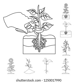 Isolated object of plant and bean symbol. Collection of plant and process stock symbol for web.